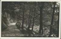 Na pohlednici je vidt kamenitou ku cestu s devnm zbradlm.
            ka protk lesem. Tak je na n npis: 686 D. Beneschau Promenadenweg Foto J.Seidel Krummau.