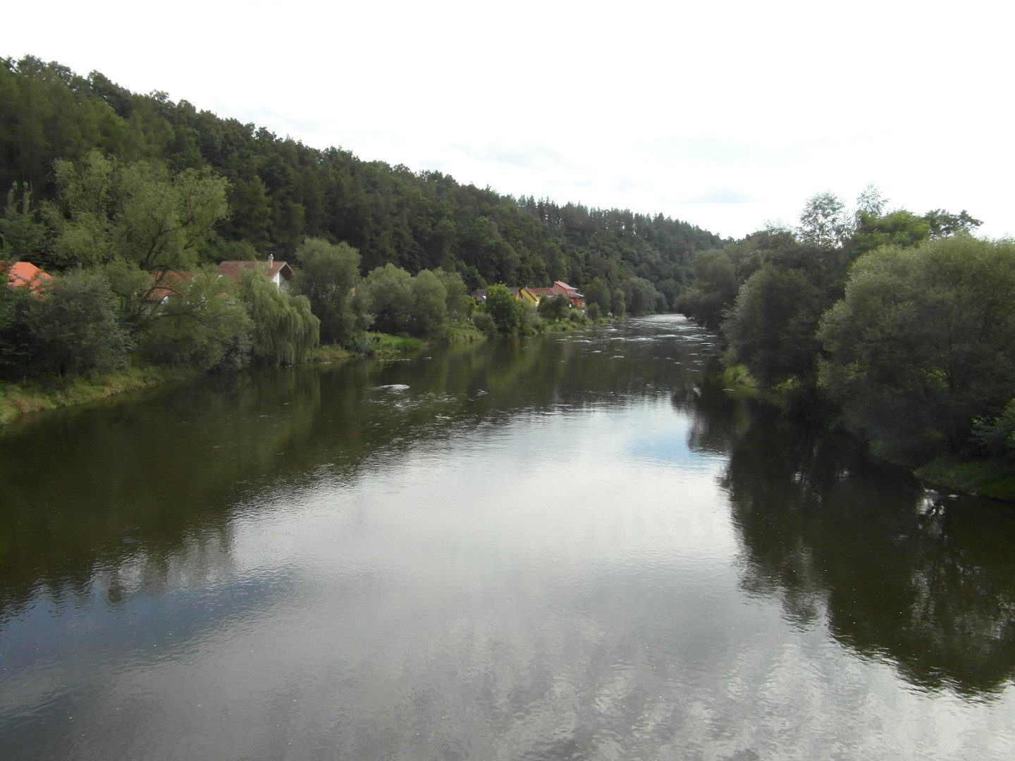 Na zbru fotografie z vletu je eka Vltava. Jsou vidt stromy na bezch, les v dlce a chaty a domy.