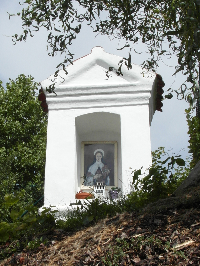 Na fotografii z vletu je ble naten vklenkov kaple s obrazem svat Terezie z Lisieux. Obraz ani ostatn
      vybaven kaple nen nijak chrnno. Postava m blou svatoz a alespo pi tomto rozlien i odv. Dle 
      je na obraze dosti fialov barvy. Ve vklenku je i kvtin a kyblk s kvtinami.