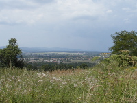 Na fotografii z vletu je pln v poped louka se zajmavmi travinami, po obou krajch listnat stromy,
          dal dv ady strom, budovy, pistvac drhy letit, za tm vm les a na obzoru edomodr poho
          Blanskho lesa.