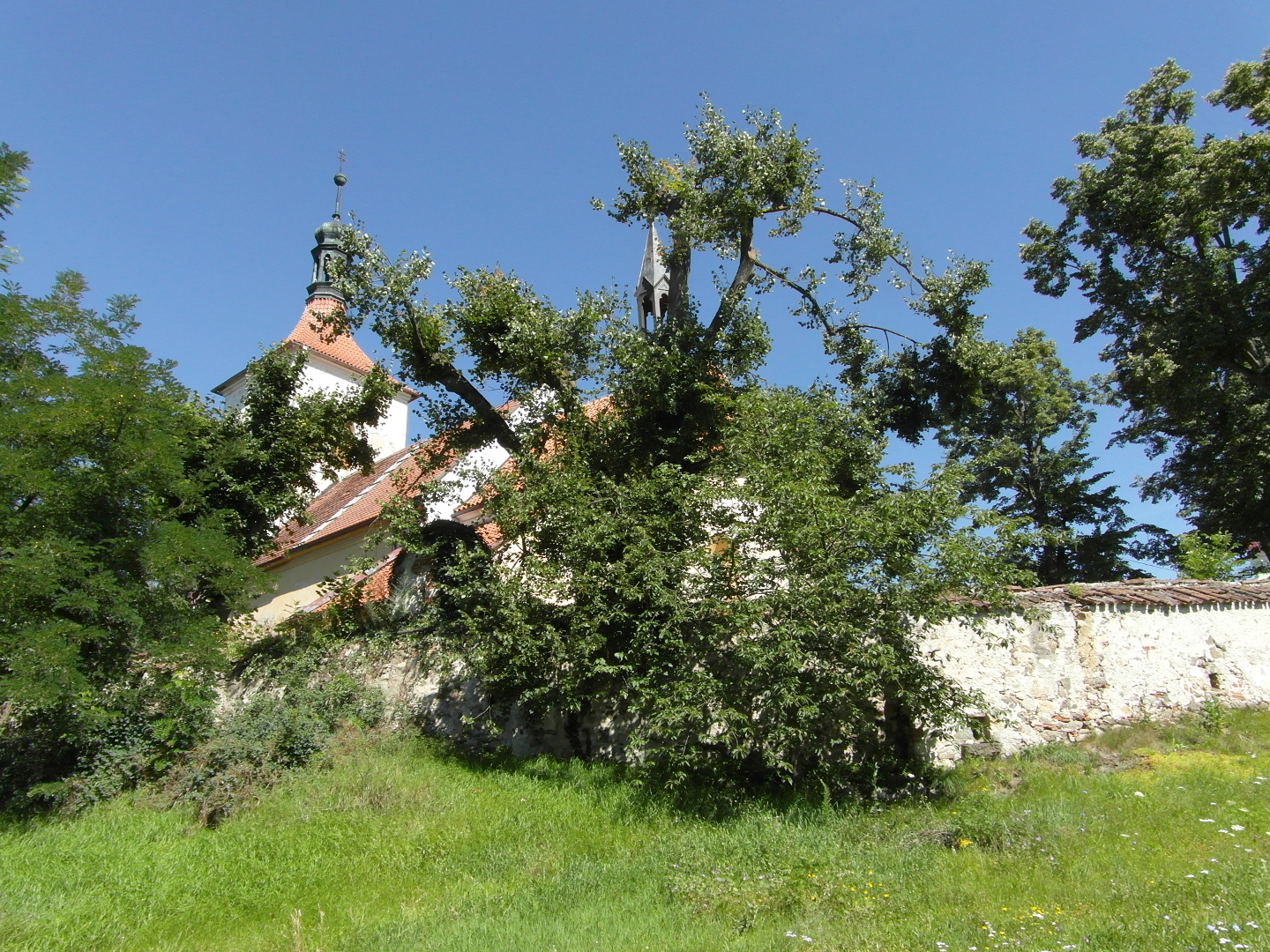 Na fotografii je kostel od jihovchodu. V i lo kostela i st hbitovn zdi ped kostelem jsou tm zakryty stromy. Dal dva stromy rostou
  za hbitovn zd v prav sti fotografie. Ped tm je travnat plocha.